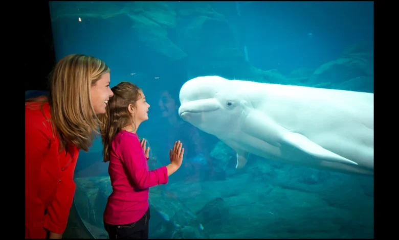 ga aquarium